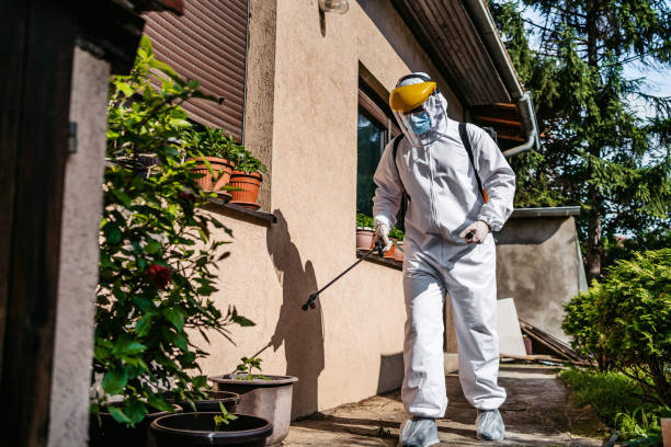 Flea Control Services in Waverly, NE