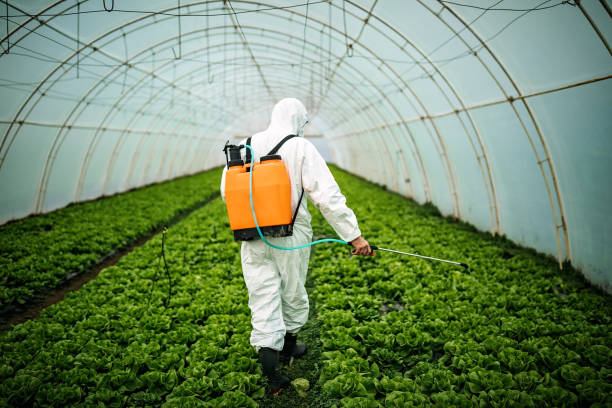Best Affordable Pest Control Services  in Waverly, NE