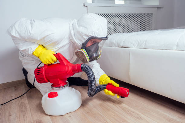 Best Local Pest Control Services  in Waverly, NE