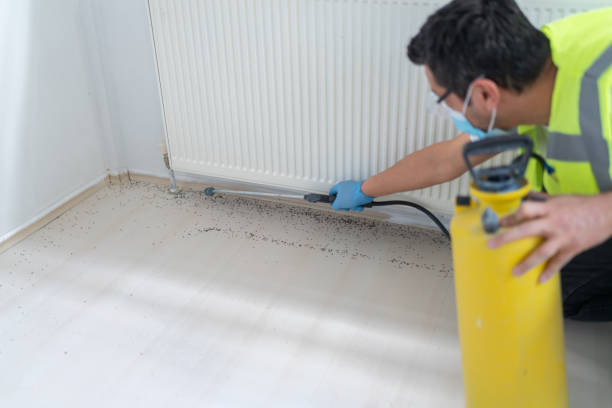 Best Bed Bug Extermination  in Waverly, NE