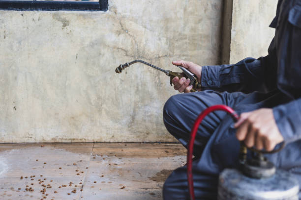 Best Pest Control for Businesses  in Waverly, NE